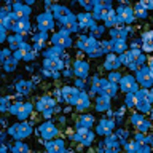 Meet your Posher, Makenzie